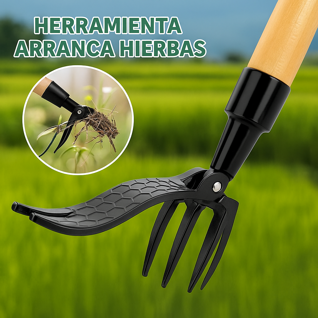 Extractor de maleza desmontable