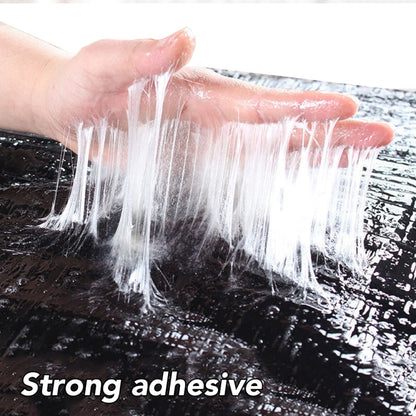 Trampa adhesiva para ratones