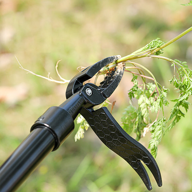 Extractor de maleza desmontable